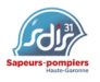 SDIS_31